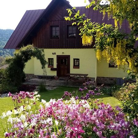 Apartments Vecernik Rokytnice ロキトニツェ・ナト・イゼロウ エクステリア 写真