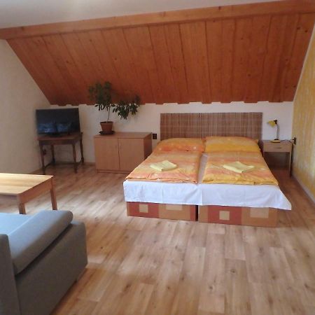 Apartments Vecernik Rokytnice ロキトニツェ・ナト・イゼロウ エクステリア 写真