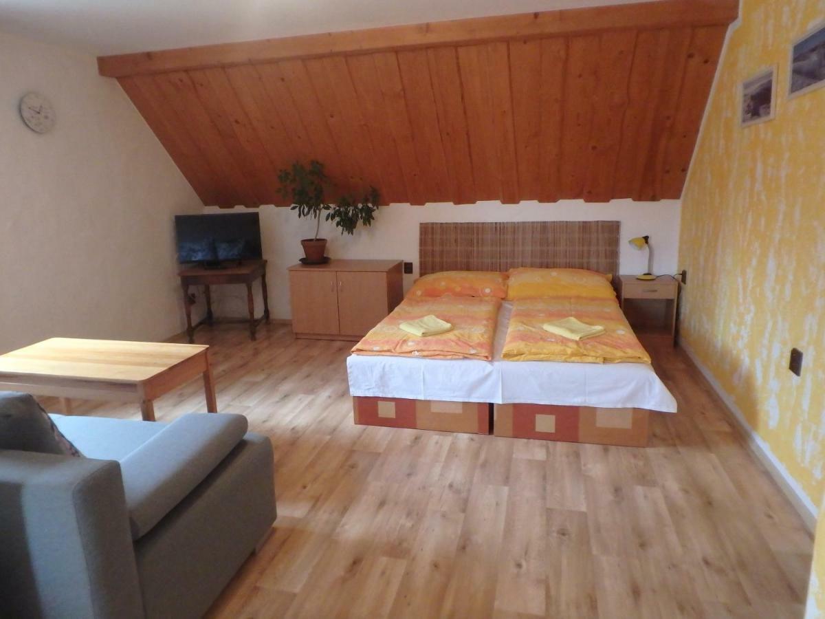 Apartments Vecernik Rokytnice ロキトニツェ・ナト・イゼロウ エクステリア 写真