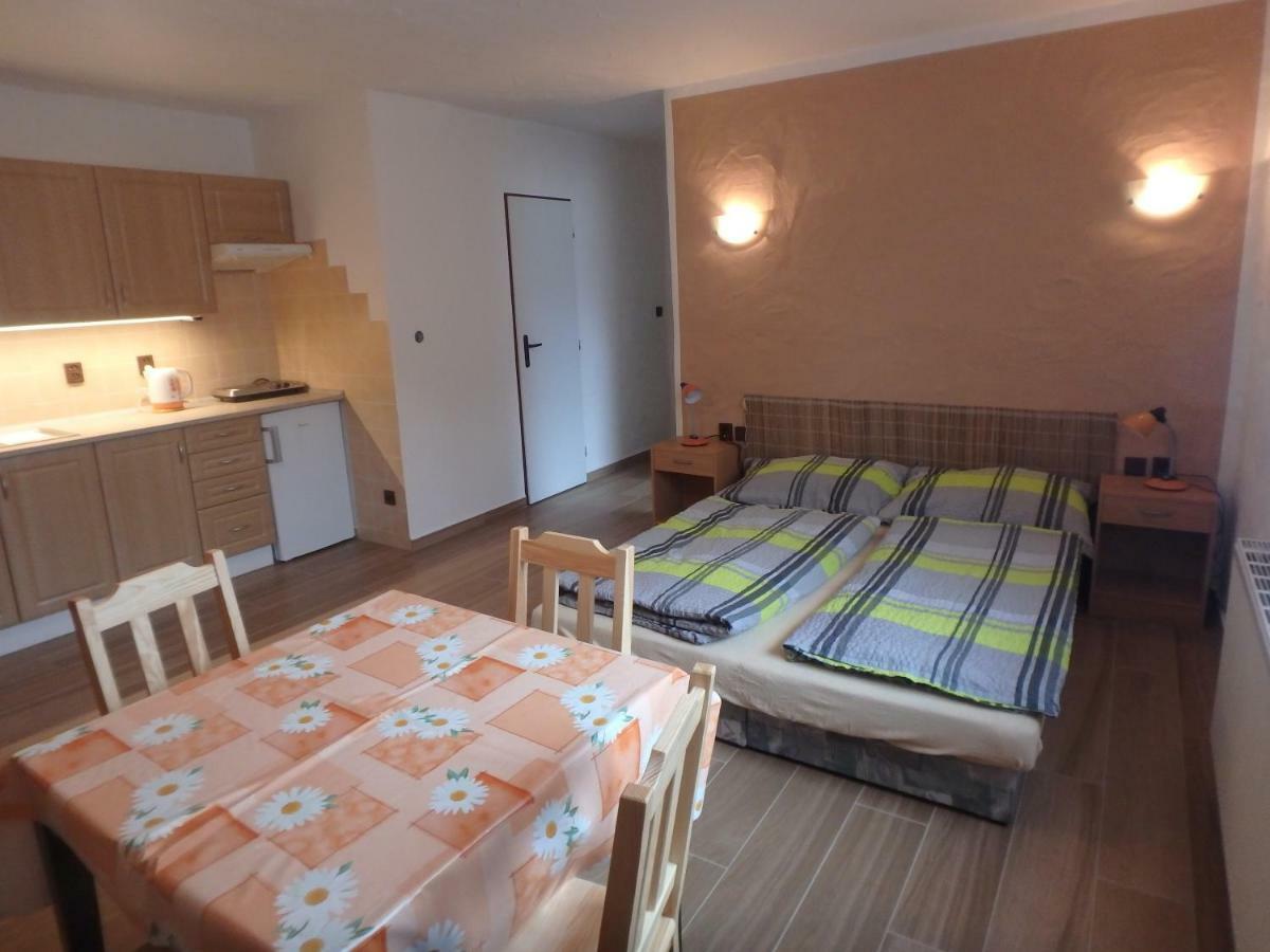 Apartments Vecernik Rokytnice ロキトニツェ・ナト・イゼロウ エクステリア 写真