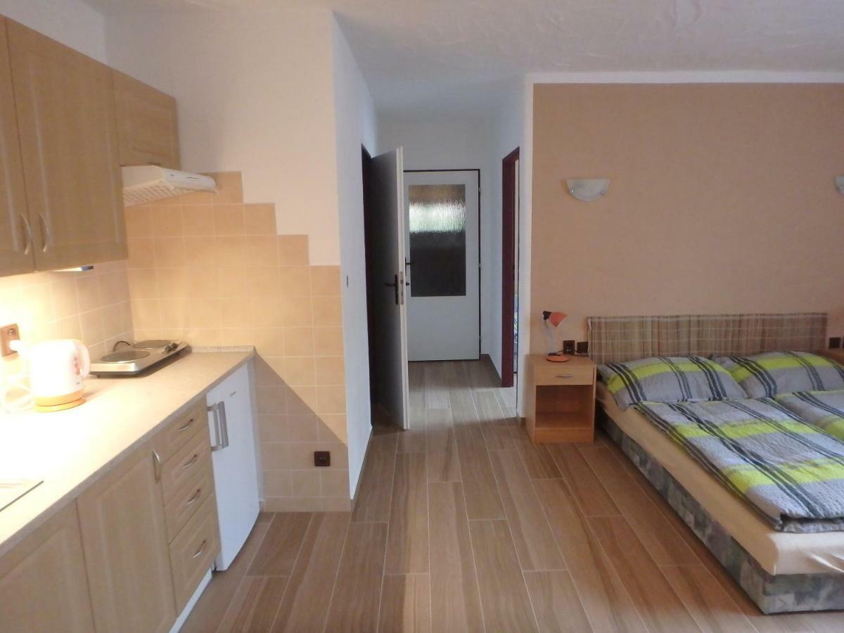 Apartments Vecernik Rokytnice ロキトニツェ・ナト・イゼロウ エクステリア 写真